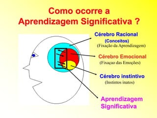 Cérebro instintivo
Cérebro Emocional
Cérebro Racional
(Conceitos)
(Fixação da Aprendizagem)
(Fixaçao das Emoções)
(Instintos inatos)
Aprendizagem
Significativa
Como ocorre a
Aprendizagem Significativa ?
 