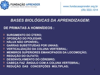 BASES BIOLÓGICAS DA APRENDIZAGEM: DE PRIMATAS A HOMINÍDEOS : SURGIMENTO DO ÚTERO; OPOSIÇÃO DO POLEGAR; HÁLUX NÃO OPONÍVEL; GARRAS SUBSTITUÍDAS POR UNHAS; VERTICALIZAÇÃO DA COLUNA VERTEBRAL; MEMBROS SUPERIORES EMANCIPADOS DA LOCOMOÇÃO; REDUÇÃO DO OLFATO; DESENVOLVIMENTO DO CÉREBRO; CABEÇA FAZ  ÂNGULO COM A COLUNA VERTEBRAL; REDUÇÃO  DAS  CONCEPÇÕES  MÚLTIPLAS; 