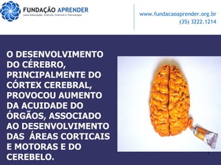 O DESENVOLVIMENTO DO CÉREBRO, PRINCIPALMENTE DO CÓRTEX CEREBRAL, PROVOCOU AUMENTO DA ACUIDADE DO ÓRGÃOS, ASSOCIADO AO DESENVOLVIMENTO  DAS  ÁREAS CORTICAIS E MOTORAS E DO CEREBELO. 