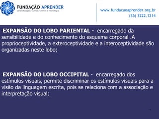 EXPANSÃO DO LOBO PARIENTAL -  encarregado da sensibilidade e do conhecimento do esquema corporal .A proprioceptividade, a exteroceptividade e a interoceptividade são organizadas neste lobo; EXPANSÃO DO LOBO OCCIPITAL  -  encarregado dos estímulos visuais, permite discriminar os estímulos visuais para a visão da linguagem escrita, pois se relaciona com a associação e interpretação visual; 