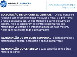 ELABORAÇÃO DE UM CÓRTEX CENTRAL  -  O lobo frontal se relaciona com o controle motor muscular e vocal e o pré-frontal é região de associação. O lobo frontal é a parte executiva do cérebro. Nele se encontram os centros responsáveis pela motricidade voluntária e a intencionalidade da ação motora. Nesta zona se integra todo o pensamento; ELABORAÇÃO DE UM LOBO TEMPORAL  –aperfeiçoamento e discriminação sonora, necessário à comunicação vocal; ELABORAÇÃO DO CEREBELO  e suas conexões com a área motora do córtex - 