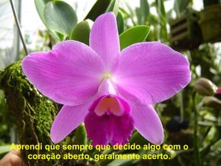 Aprendi que sempre que decido algo com o coração aberto, geralmente acerto. 