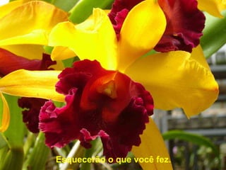 Esquecerão o que você fez. 