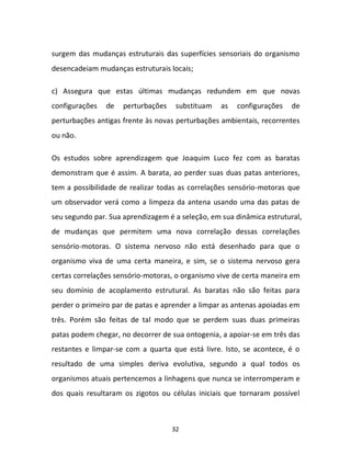 32
surgem das mudanças estruturais das superfícies sensoriais do organismo
desencadeiam mudanças estruturais locais;
c) Assegura que estas últimas mudanças redundem em que novas
configurações de perturbações substituam as configurações de
perturbações antigas frente às novas perturbações ambientais, recorrentes
ou não.
Os estudos sobre aprendizagem que Joaquim Luco fez com as baratas
demonstram que é assim. A barata, ao perder suas duas patas anteriores,
tem a possibilidade de realizar todas as correlações sensório-motoras que
um observador verá como a limpeza da antena usando uma das patas de
seu segundo par. Sua aprendizagem é a seleção, em sua dinâmica estrutural,
de mudanças que permitem uma nova correlação dessas correlações
sensório-motoras. O sistema nervoso não está desenhado para que o
organismo viva de uma certa maneira, e sim, se o sistema nervoso gera
certas correlações sensório-motoras, o organismo vive de certa maneira em
seu domínio de acoplamento estrutural. As baratas não são feitas para
perder o primeiro par de patas e aprender a limpar as antenas apoiadas em
três. Porém são feitas de tal modo que se perdem suas duas primeiras
patas podem chegar, no decorrer de sua ontogenia, a apoiar-se em três das
restantes e limpar-se com a quarta que está livre. Isto, se acontece, é o
resultado de uma simples deriva evolutiva, segundo a qual todos os
organismos atuais pertencemos a linhagens que nunca se interromperam e
dos quais resultaram os zigotos ou células iniciais que tornaram possível
 