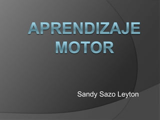Aprendizaje motor Sandy SazoLeyton 