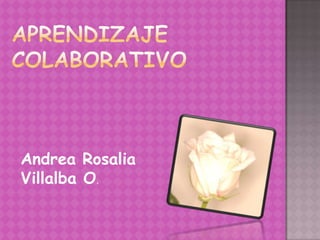 Andrea Rosalia
Villalba O.
 