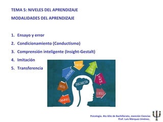 TEMA 5: NIVELES DEL APRENDIZAJE
MODALIDADES DEL APRENDIZAJE


1. Ensayo y error
2. Condicionamiento (Conductismo)
3. Comprensión inteligente (Insight-Gestalt)
4. Imitación
5. Transferencia




                                         Psicología. 4to Año de Bachillerato, mención Ciencias
                                                                  Prof. Luis Márquez Jiménez.
 