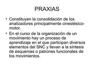PRAXIAS
• Constituyen la consolidación de los
analizadores principalmente cinestésico-
motor.
• En el curso de la organización de un
movimiento hay un proceso de
aprendizaje en el que participan diversos
elementos del SNC y llevan a la síntesis
de esquemas o patrones funcionales de
los movimientos.
 