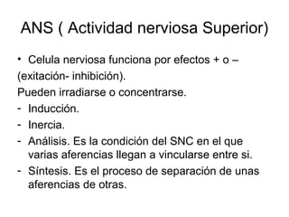 ANS ( Actividad nerviosa Superior)
• Celula nerviosa funciona por efectos + o –
(exitación- inhibición).
Pueden irradiarse o concentrarse.
- Inducción.
- Inercia.
- Análisis. Es la condición del SNC en el que
varias aferencias llegan a vincularse entre si.
- Síntesis. Es el proceso de separación de unas
aferencias de otras.
 