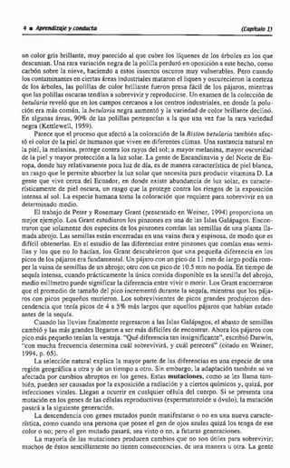 un colorg i s brillante, muy parecido al que cubre los líquenes de los 6rboIes en los que
descansan.Una rara variaeidn negra de la polilIa perduró en aposici6na este hecho, como
carbón sobre la nieve, haciendo a estos insectos oscuros muy vulnerables. Pero cuando
losmntaminantesen ciertas heas industriales mataron el Iiqucn y oscurecieron lacorteza
de los Stbeles, las polillas de color brillante fueron presa fhcil de los pájaros. rnienms
que las polillasoscurastendían a sobrevivir y reproducirse. Un examende IacoIeccíónde
betularia =ve16 que en los campos cercanos a los centros industriales. en donde Ia poIu-
ci6n era más com$n, la betularia negra aumentó y la variedad de color brillante declinó.
En algunas Areas, 90%de las plillas pertepecían a la que una vez fue la rara variedad
negra (KettIewell, 1959).
Par~ccque el proceso que afectó a la coIoraci6n de la Biston betularia también afec-
t6 el color de la piel de humanos que viven en diferentes climas. Una sustancia natural t n
la pieI, la mehnina. protege contra los rayos del sol:a mayor melanina, mayor oscuridad
dt la piel y mayar protección a la luz salar. La gente de Escandinavia y del Norte de Eu-
ropa, donde hay relativamente poca luz de día, es de manera característicade pie¡ blanca,
un rasgo que le permite absorber la luz solar que necesita para producir vitamina D. La
gente que vive cerca de1 Ecuador, en donde existe abundancia de Iuz solar, es earacte-
rísticamente de piel oscura, un rasgo que la protege contra los riesgos de la exposici6n
intensa al sol. La especie humana toma la coloración que requiere para sobrevivir en un
determinado medio.
El trabajo de Peter y Rosemary Grant (presentado en Weiner, 1994)proporciona un
mejor ejemplo. Los Grant estudiaron les pinzones en una de las Islas Galapagos. Encon-
traron que solamente dos especies de Ioc pinzones comían las semillas de una planta IIa-
mada abrojo. Las semillas están encerradasen una vaina dura y espinosa, de modo que es
difícil obtenerlas. En el estudio de las diferencias entre pinzones que comían esas serni-
Has y los que no lo hacían, los Grant descubrieron que una pequeiia diferencia en Jos
picos de los pájaros era fundamental. Un pájarocon unpico de 11mm de largo podía rom-
per la vaina de semillas de un abrojo; otro conun pico de 10.5 mrn no podía. En tiempo de
sequía intensa, cuando prlcticamente la iinicacomida disponibIe es la semilla del abrojo,
mediomilímetra puede significar la diferencia entre vivir omorir.Los Gxant encontraron
que el promedio de tamaiio de1 pico incrernentó durante la sequia. mientras que los pája-
ros con picos pequeños murieron. Los sobrevivientes de picos grandes produjeron des-
cendencia que tenia picos de 4 a 5% m8s largos que aquelios pájaros que habían estado
antes de la sequia.
Cuando las lluvias finalmente regresaron a las Islas Galápagos, el abastode semillas
cambi6 y las m5s grandesllegaron a ser mis difíciles de encontrar, Ahora lospájaros con
pico m8s pequeño tenían Ia ventaja. "Qnd diferencia tan insignificante", esmibi6 Darwin,
"con mucha frecuenciadetermina cual sobrevivirtl, y cuál perecerá" (citado en Weiner,
1994,p.65).
La selección naturaI z x p l i ~la mayor parte de las diferencias en una especie de una
regidn geográfica a otra y de un tiempo a otro. Sin embargo, la adaptacidn tambi6n se ve
afectada por cambios abruptos en los genes. Estas mutaciones,como se les llama tam-
bién, pueden ser causadaspor la exposicián a radiación y a ciertos químicos y, quizd, por
infecciones virales. ~ l e ~ a ña ocurrir en cualquier célula del cuerpo. Si se presenta una
mutacibn en 10s genes de las celulas reproductivas(espermatozoideu 6vulo). la mutación
pasará a la siguiente generacidn.
La descendencia con genes mutados puede manifestarse O no en una nueva caracte-
rística=como cuando una persona que posee el gen de ojos azules quizá Ios tenga de ese
color o no;pem el gen mutada pasará, sea visto o no, a futuras geatraciones.
La mayorfa de1ac mutaciones producen cambios que no son iitiles para sobrevivir;
muchos de éstos sencillamente no tienen consecuencias, de una manera u otra. La gente
 