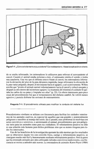 do se estaba reforzando, los entrenadores 10 utilitmn para reforzar el actreamiento al
cancel. Cuando el animal estaba pr6ximo a éste, el entrenador emitía el sonido y tiraba
una zanahoria. Una vea que el elefante estuvo frente al cancel, los entrenadores reforza-
ron la elevación del piso de la pata delantera izquierda, luegoreforírdron la elevacibn de
lapata varias pulgadas, despd, el mivimientohaciael agujero,y así suce~ivamente.Wilkes
escribeque 'pronto el animal caminO voluntariamentehaciael cancel y colocóunapata y
después1-d otradentrodel rnisteiosoagujero.La manteníaahí mientrasel cuidadorle qui-
taba los callos de suspatafiy limpiaba sus unas" (p. 33). Un efecto interesante pero poco
usual del procedimiento fue que el temperamento del elefante carnbi6. Se volvió menos
agresivoy parecía disfrutar las sesiones de entrenamiento,
Pregunta 7-1: El procedimiento utilizado para modificar la conducta del elefante fue
Procedimientos similares se utilizan con frecuencia para facilitar los cuidados veterina-
rios de los animales cautivos, en especial de aquellos que son grandes y potencialmente
peligrosos a sensibles al manejo del estrés.En el pasado, esos problemasse resolvían con
actos coercitivos o aversivos, o anestesiando al animal, procedimientos que son peligro-
sos tanto para los animales como para sus cuidadores. El reforzamiento positivo no sólo
e i una soIuci6n más humana para dichos problemas sino que es menos riesgosa para b
dos los inteinesados.
Uno de los beneficiosde la investigaci6noperante ha sido mostrarque los resultados
que se obtuvieron alguna vez con coerción física, castigo y reforzamiento negativo, se
consiguenmucho másfhcil y humanamentemediantereforzamientopositiva. Perolagente
que ha entrenadoanímalespor aiios utilizandométodos coercitivostradicionales. con frt-
cuencia se resirtea métodos rnss suaves. La entrenadora de animales Kiiren Pryor (19W)
 