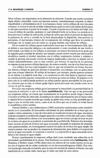 6 AprendlxSrey conducta CCapIt~loU
Otros rcflejos son importantes en la obtencihn de alimento. Cuando una arneba encuentra
algdn objeto comestible, como una bacteria muerta, inmcdiatarnente refiponde al objeto
engulIéndolo y alimentándosede él. Los humanostienen varios reflejos dt este tipo para
consumo: si se toca la cara de un bebé voltearáhacia quien lo toc6: csta reflejode hociquco
e?útil para encontrar el pezón de la madre.Cuando el pez6n toca los labios del bebe,&te
cvocti el d e j o de succión. mediante el cual obtendra leche en su boca. La cernida en lu
bocaprovocacl reflejode salivación. e1flujo de saliva quc inicia el proceso dc digcstidn:
la presencia de saliva y comida en la boca desencadena la deglucidn; tsta provoca la
pcristalsis. el movimiento ritmico del revcstjmienta del esdfago que lleva la comida al
esthmago; así, el simple acto de comer es, en gran medida, una cadena de reflejos,
Por lo comilin los reflejospasan inadvenidos hastaque su funcionrimiento fatla. Qui-
zá debido a una rcaccíón alérgica a un medicamento o como resultado de una lesi611o
enfermedad.Las fallas en losrcflejos se presentancon mayor frecuenciaen Ia gente qoe
ha ingeridogran-cantidadde alcohol:por ejemplo, puede ocurrir muerte porintoxfcaci6n
atcohdlica cuando ef alcohol interfiere con el reflejo respiraiorio (inhalar y exhalar) o
cuando la persona intoxicada vomita de manera inadecuaday provoca su muerte con el
vómiro jlamentablemente, esto es muy común); por fortuna, la mayorla de las personas
no reparan en que poseenreflejoshastaque, de maneranotable, unode ellosfuncionamal.
Los reflejos son muy eszcrcotipados;esto es,que son invariables en forma. frecuen-
cia, fuerza y tiempo de aparición durante e[ desarrollo;sin embargo. esto no quiere decir
que sean sicnlpre idgnticos. El re.flejo dc bacjqueo,pos ejemplo, puede aparecerprimero
en un infante a Ia edad de siete dias, y no mostrarse en otro sino hasta la siguicmtc sema-.
nri;existen tainbién algunas variaciones en la forma que toma un reflejo. El golpeteo en la
parre alta dc fa rodilla puede producir un refle-jopatelar apcnar perceptible en una p c m
iia, mientras qtie en otra, el mismo golpe Iigero quiz6 provoque una patada como cn un
intcnio de gol de campo.
Provocar una respuesta refleja quizh incremenie la intensidad o la probabilidad dc la
rcspuesta al estírnuIo; a esto se le llama sensibilizacl6n. Una vez quc se ha provocado
una respuesta retleja, un evento que nomalmcnte no la produce pucde llegar a hacerlo.
Considere al reflejo dc sobresalto,la tendencia13c saltarrepentinamentepor un fuerteruido;
si alguien brinca cuando escucha que estalla un globo muy cerca, cs muy probable que lo
haga si oye un sonido mas suave, como el de un libro que cae al suelo; el ruido fucrte
lo scnsibiIiza a otros sonidos.
Vincent Dethier y sus colaboradores (1965')rcitlizaron experimentos sobre sensibili-
zación en el moscardón. E1 moscarddn csta dotado de pelo alrededor de su boca que res-
ponde a varias sustancias;si unode estos pclos estocado porunpoco de agua,una mosca
sedientaextenddsupirobóscide{órganoparecidoaun tubo a travésdel cual come y bebe).
Dethiery colabpradores dieron a los moscardones agua en exceso, así que al tocar un pclo
dc subocacon aguano sc p d u c l n la extensidnde su prob6scide.Entonceslos investiga-
dores twaron un pelo de la boca con agua azucarada.causandola respuesta de alimcnta-
ci6n;prwteriormenie,los investigadorestocaron los pclos de la boca con agua simple. De
maneran o d , esto noproducc larespuestade alimcntacion, pero debidoa Ia exposición
previa al agua azucarada, la respuesta s i ocurriá. La exp~sicibnal agua azucarada sensi-
bilizú a Ias moscasal agua simple.
Evocar repetidamente la respuesta refleja dará como resultado una reducción en la
intensidado probabilidadde la misma, Este ftndmcnose conocecomohabitaarión.Seth
Sharpless y Herbert Jasper (1956) observaton10s efectosde los ruidos fuertes en los ga-
tos con el rcgistro de las ondas ccrcbralesen un elecrrocncefalograma (EEG). Éste mos-
ir6 al principiomarcadaexcitacibn, pero la reacci6ndeclinó de manera unifonneconcada
repeticihn de un sonido dado, hasta que el mido casi dejó de tener efecto.
 