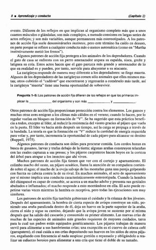 evento. Difieren de los reflejos en que implican al organismocompleta más que a unos
cuantosmúsculoso gMndulas;son m6scomplejos, a menudo consisten en largas seriesde
actos reflejos; y son mas variables, aunque permanecen m8s estereotipndos. A los patre-
Res de acción fija suele denominárscles instintos,pero este termino ha caído cn desuso,
en parte porque se refiere a cualquierconductam8somenos automática(comoen "Martha
instintivamente metió los frenas").
Algunos patrones de accidn fija protegen a loa animales de los depredadores.Cuando
el gato de casa se enfrenta con un perro amenazador arquea su espalda, sisea, gruñe y
Iatiguea su cola. Estos actos hacen que el ggto parczca mAs grande y amenazador de lo
que en realidad es y pueden, por tanto, servirlepara ahuyentac a su atacante,
La zarigüeyaresponde de manera muy diferente a los depredadores:se finge muerta.
Algunos de tos depredadoresde las zariglleyas comen s61oanimales queellosmismos ma-
tan; otros cubrirán el "cad8vernque enconrraron y regresarfin a corn6rselo mb tarde, así
la zarigüeya h'muerta"tiene una buena oportunidadde sobrevivir.
Pregunta 1-5: Los patronesde acci6n fijadifieren de los mflejosen que los primerosim-
plican la del organismo y son más Y
Otros patronesde acciónfija proporcionanproteceidn contralos elementos.Losgansosy
muchas otras aves emigran a los climas máscálidos en el verano;cuando lo hacen,por lo
regular vuelan en bloques en fomiaci0n de 'V".Se ha sugeridoque esta práctica benefi-
cia a todos, exceptoal lider, al reducir laresistenciadel viento gracias al p6jm quevuela
en la punta. El lider va hacia atrásdespues un tiempo, asílacarga se propaga a rraves de
la bandada. La teoría es que laformaciónen "V'reduce la cantidad de energía requerida
para volar y, por tanto, incrementala oporhinidadde cadapajar0 para-alcanzarsu destino
(Ruppell, 1975).
Algunos patrones de conducta son útiles para procurarcomida. Cos cerdos hozan en
busca de gusanos, larvas y trufas debajo de h tierra; algunasarañas constmyw telarañas
con las cuales capturan a sus presas; y los $jms carpinteroshacen hoyos en Ia corteza
del Arbol para atrapara losinsectosque ahíviven.
Muchos patrones de acci6n fija tienen que ver con el cortejo y apareamiento. El
colimbo macho del oeste, un pájaroacuhtico, llama la atenciénde su compañera corrien-
dosobree1agua; el machode laovejasalvajede Ias montafiac ganauna pareja golpeando
con fuerza su cabeza contta la de su rival. Ea muchos animales, el acto de apareamiento
por sí mismo implica una conducta característicamenteestereotipada.Cuando la hembra
del cbimpand es capasde concebir, se acercaa un macho adulto y presenta sus gcnitales
abultadose inflamados; el macho respondea esto montándose en ella. EI acto puede re-
petirse varias veces mientrasla hembraes receptiva,pero todas las ejecuciones son muy
similares.
Los patronesde acción fija también gobiernan e1cuidadoy la crianzade losjóvenes.
Desputs del apareamiento, la hembra de cierta especie de avispa construye un nido, po-
niendo una araña pdizada dentro de éI, deja un huevo en la parte superior de la araña,
cierra el nido y sigue su camino, dejando que la avispa joven se sustente por si misma
despuesque ha salido del cascarón y consumido su primer alimento. Las nuevas cn'as de
muchas de las especies de animales mas grandes requieren de mayores cuidados, tarea
para la cual sus padres están equipados genéticamente. Los pijaros trabajan de manera
servil para alimentar a sus hambrientas crías; una excepcibn es el cuervo de cabeza cafk
(garrapatero), el cual cuidaa sus depositando sus huevos en los nidos de otros pája-
ros, tngafiando con frecuenciaal nada suspicaz gorrión o reyezuelo y obligándolo a xea-
lizar un esfuerzo heroicopara alimentara una cría que tiene el doble de su tamaño.
 