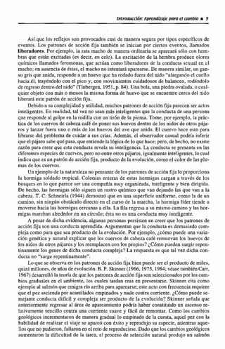 Asf que los reflejas son provocados casi de manera segura por tipos específicos de
eventos. Los patrones de acci6n fija también se inician por ciertos eventos, llamados
Hberadores.Por ejemplo, la rata macho de manera ordinaria se aparear5 sOlo con hem-
bras que estan excitadas (es decir, en celo). La excitacibn de la hembra produce olores
quimicos llamados feromonas, que actúan como liberadmes de la conducta scxual en el
macho; en ausencia de bstas, el macho no intentars.aparearse. De manera similar, un gnn-
so grisqueanida, responde a un huevo que ha rodadofuera dcl nido "alargando el cuc!lo
hacia 61, trayhddo con el pico y. con movimientos cuidadosos de balanceo, rodlndolo
de regresodentrodelnido" (Ti~bergen,1951,p. 84). Una bola, una piedra ovalada, ocual-
quier objeto con más o menos la misma fo& de huevo que se encuentre cerca del nido
liberará este patr6n de acci6nfija.
Debido a su complejidad y utilidad, muchos patrones de accibnfija parecen ser actas
inteligentes. En realidad, tal vez no sean más inteIigentesque la conducta de una persona
que responde al golpe en la rodilla con un tir6n de la picrna. Tome, por ejemplo, la pric-
tica de loscuervos de cabeza caf&de poner sus huevos dentro de las nidos de otnis pája-
ros y lanzar hera uno o rn6~de los huevos del ave que anida. El cuervo hace esto para
librarse del problema de cuidar a sus cría%.Además, el observador casual podría inferir
queel pájaro sah quépasa, que entiendela lógica de loquehace;pero, de hecho, na existe
raz6n para creer que esta conducta reveia su inteligencia. La conducta se presenta en las
diferentes especies de cucnros,pero no entre otrospájaros,igualmenteintejigentes,locual
indica que es un patrón de accián fija, producto de laevotucibn, como el color de las plu-
mas de los cuervos.
Un ejemplo de ianaturaleza no pensantede los patrones deacci6n fija loproporciuna
Iti hormiga soldado tropical. Colonias enteras de estas hormigas cargan a traves de los
bosques en lo que parece ser una compaiíia muy organizada, inteligente y bien dirigida.
De hecho, las hormigas s61o siguen un rastro qufmico que van dejando las que van a la
cabeza. T. C. Schncirla (1 944) demostró que en una superficie uniforme, como la de un
camino. sin ningún obstáculo directo en el curso de la rnakha, la hormiga lider tiende a
moverse hacia las hormigas cercanas a el1a. La fila rcgrcw a su mismo camino y las hor-
migas marchan alrededor en un círculo; esta no es una conducta muy inteligente. .
A pesar de dicha evidencia, algunas personas persisten en creer que los patrones de
accián fija son unaconducta aprendida. Argumentan que la conducta es demasiadoeorn-
pleja como para que sea producto de la evelucidn. Por ejemplo. ¿cómo puede una varia-
ci6n genbtica y natural expZicarque los cuervos de cabeza cafk remuevan los huevos dc
los nidos de otros pajaros y los reemplacen con los propios? cómo pueden surgir repen-
tinamente los genes de dicha conducta compleja? La respuesta es que tal vez dicha con-
ducta no "surge repentinamente".
Lo que se observa en los patrones de ami& fijabien puede ser el producto de miles,
quizá millones,de años de evolución.B.F.Skinner(1966,1975,1984; véase también Carr.
1967)desarmll6lateoría de que los patrones de acción fija son seIeccionadospor loscam-
bios graduales en el ambiente, los cuales tardan cras en presentarse. Skinner cita como
ejemplo al salmón que emigra río arriba para sparearse;este acto con frecuenciarequiere
que cl pez ascienda por acantilados empinados y nade contra corriente. iC6mo puede se-
mejante conducta difícil y compleja ser producto de la evolucibn? Skinner señala que
anteriormente regresar al 6rea de apareamiento podda haber constituido un ascenso re-
lativamente senciEIo contra una corriente suave y fkil de remontar. Como los cambios
geoldgicw incrementmn de manera gradual lo empinado de la cuesta, aquel pez con la
habilidad de realizar el viaje se apare6 con éxito y reprodujo su especie, mientras aque-
llos que no pudieron, fallaronm el retode reproducirse.Dado que loscambiosgeoldgicos
aumentaron la dificultad de la tarea, eI proceso de seleccihn natural produjo un salm6n
 