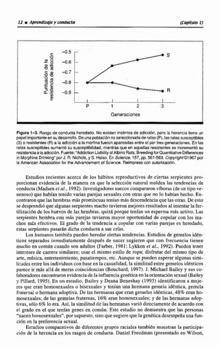 P 1 2 3
Generaciones
Rgura 7-3, Rasgo de conducta heredado.No existen instintos de adicción, pero la herenciatiene un
papelimportanteensu desarrollo.Deunapobiaci6nnoseleccionadade ratas (P), lasratassusceptibles
(S) o resistentes (R) a la adiccióna lam h n afueron apareadas entre si por tres generaciones.Enlas
ratas susceptibles aumentbsu succeptblidad,mientrasque en aquellas resistentec se incrementósu
resistenciaalaadiccibn. Fuente:"Addriion Uabilityof Alblno Rats:BreedingforQuantifatiweOifferences
inMorphineDrinking"porJ. R. Niholc, y S. Hsiao. En Science, 157,pp. 561-583. CopyrightO1967por
la American Ascociationfor the Advancement of Science. Reimpresocon autorización.
Estudios recientes acerca de los habitos reproductivos de ciertas serpientes pro-
porcionan evidencia de la manera en que la selección natural moldea las tendencias de
conducta (Madsenet al.,1992).Investigadores suecoscompararon víboras (de un tipo ve-
nenoso) que habían tenido varias parejas sexuales con otras que no lo habían hecho. En-
contraronque las hembras m&spromiscuastenian más descendenciaque las otras. Deesto
se desprendiú que algunasserpientesmach~tuvieron mejoresresultadosal intentarla fer-
tilizacibn de los huevosde las hembras, quizA porque tenían un esperma más activo. Las
serpientes hembra con rnk parejas tuvieron mayor oportunidadde copular con los ma-
chos miis efectivos. EI grado de la tendencia a copular con varias parejas es heredado,
estas serpientespasarAn dicha conducta a sus crlas,
Zos humanos también pueden heredar ciertas tendencias. Estudios de gemelos idén-
ticos separados inmediatamente después de nacer sugieren que con frecuencia tienen
mucho en mmiín cuando son adultos (Farber, 1981: Lykken et al., 1992). Pueden tener
intereses de carrera similares; usar e1mismo estilo dt ropa; disfrutar del mismo tipo de
arte, música, entretenimiento, pasatiempos, etc. Aunque se pueden esperar algunas simi-
litudes entre los individuoscon baseen lacasualidad,la similitud entre gemelos idénticos
parece ir más allA dc meras coincidencias (Eouchard, 1P97). J. Michael Bailey y sus co-
laboradoresencontraronevidenciadela influencia gendticaen la orientaciónsexual (BaiIey
y Pillard, 1995)-En un estudio, Bailey y Deana Beneshay (1993) identificaron a muje-
res que eran homosexualcs o bisexuales y tenían una hcmana gemela idéntica, gemela
fraternal o hermana adoptiva. De las hermanasque eran gemelas idknricas,48% eran ho-
mosexuales;de las gemelas fratcrnas, 16% eran homosexuales;y de las hermanas adop-
tivas, s61o 6% lo era. Así, la similitud dc las hermanas va156directamente de acuerdo con
el grado en el que tenían genes en corndn, Este estudio no demuestra que las personas
"nacen homosexuales",por supuesto, sino quesugierequeIa genttica desempeña unah-
ción en la preferencia sexual.
Estudios comparativos de diferentes grupos raciales tambitn muestran la participa-
ción de la herencia en los rasgos de conducta. Daniel Freedman (presentado en Wilson,
 