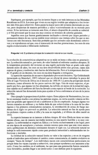 Supdngase,por ejemplo, que los inviernos llegan a ser mks intensas enlas Montaiias
Rocallosas en EUA. Lososos ue viven en esa regi6n tendrán que adaptarse a los invier-
nos m8s fríos para sobrevivir, 1stos pasan la mayor parre de1invierno durmiendo en me-
vas, pero despiertan de manera periddica y ~ a l e nncasionalmente de su morada para
comer. Si los inviernos se tornaran mBs fríos, el abasto disponible de comidase reducirá
y el frfo provocara que la caza sea muy costosa en terminos de calorfas gastadas.
Aquellos osos que fueron geneticamente inclinados a dormir por Iargos penodos y
permanecer dentro de sus cuevas podrgn tener entonces unti ventaja sobre los que se mo-
vieron con m8s frecuencia. Sera m8s probable que los aniinales más dormílones sobrevi-
van y se reproduzcan así que, con el transcurrirde muchas generaciones, los osos de esta
región evalucionadn e hibernarhn realmente.
Pregunta 1 4 2 El problema principalde la seleccldn naturalesque resulta
La evolución de caracterisricasadaptativas no se mideen horas odfas sino en generacio-
nes.La selección natural es, por tanto,de valor limitadoal enfrentarcambios abruptos,Si
la temperatura promedio del invierno en una regi6n particular baja un grado cada siglo
durante miles de años, los osos en esa área desamllarhn pieles mas gruesas, capas m6s
espesas de grasa y tendencias mas fuertes de hibemacibn.Pero si Ea temperaturadescien-
de 10 grados en un decenio, Io esa área Ibgarán a exti~guir~e.
La aparición repentinade L lepredadorprovocarádesastres.TijsGoldschmidt
(presentado en MarschaI1, 199 d que un oficial de pesca introdujo la perca del
Nilo al Lago Victoria de África en el deceniode 1950-59.Caperca ha prosperadodesde
entonces, coma alimento de los peces nativos del lago. Una de estas tspecies, el pe-
queño pez furu, que alguna vez fue abundante, ha sufrido;en menm de la mitad del siglo,
este cambio en el ambiente del fum ha llevado a esta especie al borde de la extinción. La
seleccibn natural fue demasiado lenta para ayudaral furua enfrentarseal reto de la perca
de1Nilo.
Otro ejemplo10proporcionael pichón viajero.EstospájarosdeNorteamérica,loscna-
les se asemejan mucho a sus primas laspalomas negras. en ciertaocasión volaran en ble-
ques tan grandes que taparonel sol y cambiaronaldía en crepiísculo. Aunque alguna vez
fueron contados en millones y no había duda de que sobrevivirían a la caza de los abo-
rígenes: y los primeros mlonizadwes europeos, la introducci6n de armas de fuego mo-
dernas en el sigla xtx provocd;su pkrdida. La selección natural no h e de ayuda para
los pichones viajeros cantra el rXie y la caza no regulada, y el $!timo de ellos murió en
1914.
La e s ~ i ehumana no es inmune a dichos riesgos. El virus Ébola no tiene un trata-
miento eficaz, casi & manera inevitable termina en una muerte bomMe y es muy con-
tagioso.h enfermedadse originóen África y se limita exclusivamente a ese lugar; pero
en esta época de aeroplanos y turismo, existen razonespara creer que este virus arnena-
zacá a poblaciones de distintos wntinentes durante el siglo xx. h seIecciÓn natural no
trabaja lo suficientementerápido corno para producir inmunidad a enfermedades tan in-
fecciosasy mortales.
La lentitud de la selección natural limita su valor a las especies y no es de ninguna
ayuda al individuo para enfrentarel cambio; como consecuencia, el cambio evolutivo es
siempre "fuera de tiempo". Los individuos nacen con características particulares no
porque &as los vayan a ayudara sobrevivir.sino porque ayudaron a sus ancestros a ha-
cerlo. Como los cambiosm el ambiente. las que para una generación fueron caracterís-
ticas favombles, puedenllegar a ser irrelevantes o aun dañinas para la siguiente.
 