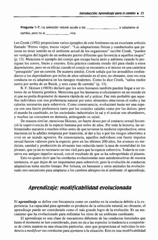 fmbmicción:ApmdIxct(epara el mmbio i 15
Pregunta 1-7: La seleccibn natural ayuda a la$ a adaptarse al
cambio. pero no 81 vlvo.
Lee Cronk (19923proporcionavariosejemplosde estefenómenoen un excelentearticulo
llarnade "Perros viejos, trucos viejos". " h s adaptaciones Msicas y conductuales que pa-
recen no tener sentido en el ambiente actual de los cirganismos" escribeCxonk, "pueden
ser vesiigios del legado de un ambiente previo diferente que favorecia a aquellosrasgos"
(p. 13). Menciona cl ejemplo del conejo qne escapa hacia atrfis y adelantecuando lo per-
siguen los zorros. linces y coyotes. Esta practica contida siendo útil para eludir a estos
depredadores,pero no es eficaz cuando el coneje st encuentra a símismo en una carretera
"perseguido"por uncamión. De manera similar, Cronk seAala quelos armadillos confun-
dieron a los depredadores por miles de años saltando en el aire: no obstante, otra vez esta
conducta no es adaptativa en los tiempos modernos. Como lo dice Cronk, "saltas medio
metro por arriba de un Buick, y eres carne de carroña" (p. 13).
B.F.Skínner (1 983b3declar6 que Ios seres humanos tarnbiknpueden llegar a ser re-
henes de su historia genética. Menciona que los humanos evolucionaronen un mundo en
el que no podía disponersede manera rfipida de sal y azúcar. Fue m8s probable que aque-
110s individuos con una prefcrencíanatural por estos alimentos obtuvieran el sodio y las
calon'as necesarios para sobrevivir. Como consecuencia,evolucionóhasta ser una espe-
cie con una fuem preferencia tanto por las comidas saladas como por las dulces; pero
el mundo ha cambiado, en las sociedadesindusaiaIes la sal y el azúcar son abundanteñ.
y muchos las consumen en demasía, amwgando su salud.
De manera similar, menciona Skinner, un fuerte deseo por el contacm sexual favore-
cid la supervivencia de la especie humana por miles de años. Por toda la historia, las en-
fermedadesmataron amuchos niños antes de que tuvieran la madurez reproductiva;otros
murieronen la adoltex temprana por inanición,al dar a luz o por los riesgosinherentes a
vivir en un mundo agresivo. En consecuencia, aquellos individuos con fuerte impulso
sexual. fueron valiosos para la especie;peru en los dltimos 200 años. los avances en me-
dicina, sanidad y produccidn de alimentohan reducido tanto Ea tasa de mortalidad de los
jdvenes, que ya nocsnecesario sertan viril paraque la especie sobreviva.Todavía se con-
serva ese antiguo impuIsa sexual, con e1 resultado de que se ha sobrepobladoel planeta.
Esto no quiere decir que las conductas evolucionadas sean autodestructivasde manera
intrínseca, ni que dejen de ser importantes para sobrevivir;pero la evoluci6n de conductas
adaptativastoma mucho tiempo. Por fortuna, en humanos y otros animales ha evo!ucio-
nado otra mecanismo para adaptarse a los cambios abruptosen el ambiente:el aprendizaje.
Apwndizqíe: modifícabilidad evolucionada
EI sprendizge se define con frecuencia como un cambio en la conductadebido a la ex-
periencia.La capacidad para aprender es productode la selección natural; no obstante, el
aprendimje puede ser consideradocomo el m%sgrande logro de la evolucibn. Es un me-
canismo que ha evolucionadopara enfrentar losretos de un ambiente cambiante.
El ~prendizajees una clase de mecanismodiferente de las conductas heredadas que
hasta el momento se hanconsiderado,pues no da a lasespeciesla ~endenciaa compwtat-
se de ciertamanera en unasituacibn particdar, sino que proporciona al individuo la ten-
dencia a modificarsus conductaspara ajustarsealasituación.Estoes una modificabilidad
 