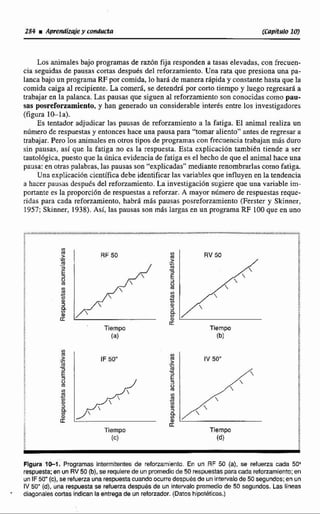 284 iAprendizde y conducta (Cwíti4/0101
Los animales bajo programas de m 6 n fija responden a tasas elevadas, con frecuen-
cia seguidas de pausas corta3 después del reforzarniento. Una rata que presiona una pa-
lanca bajo un programa RF por comida, lo hará de manera rápida y constante hasta que la
comida caiga al recipiente.La comer& se detendrá por corto tiempo y luego regresará a
trabajar en la palanca. Las pausas que siguen al reforzamiento son conocidas como pau-
sas posreforzamiento,y han generado un considerable interés entre los investigadores
(figura I c l a ) .
Es tentador adjudicar las pausas de reforzarniento a la fatiga. El animal realiza un
número de respuestasy entonces hace una pausa para "tomar aliento"antesde regresar a
trabajar. Pero los animales en otros tipos de programas con frecuencia trabajan más duro
sin pausas, así que la fatiga no es la respuesta. Esta explicación tarnbikn tiende a ser
tautológica, puesto que la única evidencia de fatiga es el hecho de que el animal hace una
pausa: en otras palabras,las pausas son "explicadas"medianterenombrarlascomo fatiga.
Una explicación cicntifica debe identificar las variables que influyen en la tendencia
a hacerpausas despuds del refanamíento. La investigación sugiere que una variable im-
portante es la proporción de respuestas a reforzar.A mayor nirmero de respuestasreque-
ridas para cada reforzarniento, habrá más pausas posreforzamiento (Ferster y Skinner,
1957; Skinner, 1938). Así, las pausas son mhs largas en un programa RF 100 que en uno
Tiempo
Flgura l+1. Programas intemjrentes de reforzarniento. En un RF 50 (a), se refuena cada 50"
respuesta; en un FIV50m},se requierede un promediode 50 respuestasparacada reforzarniento;en
un IF50"(c),se refuerza una respuestacuanda ocurre despuésde unintervalo de 50 segundos;en un
IY 50" (d), una respuestase refugrra después de un intervalo promedio de 50 segundos. Las líneas
- diagonalec cortasindicanla entrega de un reforzador. (Datos hipotéticos.)
 