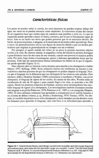 346 iAprendizqie y conducta (Cnpítulo 12)
Los peces no pueden saltar la cuerda, los seres humanos no pueden respirar debajo del
agua, las vacas no se pueden enroscar corno serpientes. La estructura misma del cuerpo
de un organismo hacc que ciertos tipos de conducta sean posibles y otros no. Lo que un
organismo puede aprender a hacer se limila, entonccs, por lo que es físicamente capaz de
hacer. Esto es un hecho tan obvio que podría pensarse que no es necesario decirlo. De
hecho. en pocas ocasiones, o ninguna, se Ie menciona en los textos sobre aprendizaje. Pero,
a veces, las generalizacioncs obvias son dignas dc mención debido a que los hechos par-
ticulares que originan la generalización no siempre son tan evidentes.
Por ejemplo, el agudo sentido de1 olfalo de un perro le permite encontrar objetos
ocultos a 1st vista. Dc manera similar, la magnífica visión del balcón le permite distinguir
a gran distancia entre las dos caras de una moneda, cuando una persona ni siquiera podría
verla. Por tanto, bajo ciertas circunstancias, perros y halcones aprendedan mejor que lar
personas. Todo tipo de caractensticas físicas determinan los limites de lo que el organis-
mo puede aprender (figura 12-1).
Hace algunos años se hicieron varios intentos para cnseñar a los chimpands a hablar
(Hayes, 1951; Kellogg, 1968).Estos esfuerzos fueron casi totalmente un fracaso y con-
vencieron a muchas personas de que los chimpancés no podian adquirir el lenguaje. Pare-
cía que el lcnguaje era la diferencia que nos distinguía de las criaturas más peludas. Pero
entonces AHen y Beatrice Gardiier (1969) comenzaron a enseñarle a Washoc, una joven
chimpand, el lenguaje dc signos de 10s sordos. En menos de dos años, W~shoetenia un
vocabulario de más de 30 signos y para cuando llegó a los siete, se acercaba a los 200
signos. Desde los primeros esfuerzos dc Gardner, muchos otros investigadores han ensc-
ñado lenguaje de signos a los chimpands. Los investigadores también intentaron enseñar
estelenguaje a un gorila (Patterson, 1978;Patterson et al., 1987)y a un orangután (Shapiro,
1982). Si cstos animales realmente han aprendido a comunicarse en el sentido humano o
no, es tema de debate (véanse, p. ej., Petitto y Seidenberg, 1979;Teirace, 1979).No obs-
tantc, la cuesti6n importante no es si los chimpancés y otros animales son tan dicstros como
los humanos para aprender el lcnguaje, sino mas bicn si su dificultad para aprender a
Figura12-1. Caracteristicasfísicasy aprendizaje. Lospichonesno puedenaprender ajugar ping-pong
de la manerausual,pera estos dos han aprendido a jugar unavariación. Fuente:'Two Synthetic Social
Relations"deB. F.Skinner.EnJoumaiof ExperimentalAnalys~soFBehavior,5,p.531.CopyrightO1962
de la Society for the ExperimentalAnalysisof Bshavior,tnc. Reimpreso con autorización.
 