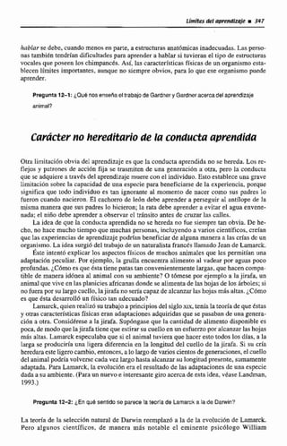 L f m h del aprendizqie i347
hablar se debe,cuandomenosen parte, a estructuras anatómicasinadecuadas.Las perno-
nas tambien tendrían dificultadespara aprender a hablar si tuvierane1tipo de estructuras
vocales que poseen los chimpancés.Asi, las caracteristicas físicas de un organismoesta-
blecen limites importantes. aunque no siempre obvios, para lo que ese organismopuede
aprendtr.
Pregunta 12-1 :¿Qué nos ensenaeltrabajo deGardnery Gardner acercadel aprendizaje
animal?
Caructerno hereditaria de la conductaaprendida
Otra lirnitacidn obvia del aprendizajees que la conducta aprendidano se hereda. Los re-
flejosy patrones de accjbn fija se trasmiten de una gcneraciiin a otra, pero la conducta
que se adquiere a uavks del aprendizajemuere con el individuo. Esto establece unagrave
limitaci6n sobre la capacidad de una especie para beneficiarse de la experiencia, porque
significa que todo individuo es tan ignorante al momento de nacer como sus padres lo
fueron cuando nacieron. El cachorro de ledn debe aprender a perseguir ti1 antílope de la
misma manera que sus padres lo hicieron; la rata debe aprender a evitar el agua envene-
nada; el niño debe aprender a observar cl tránsito antes de cnizar las caIles.
La idea de que laconductaaprendida no se hereda no fue siempre tan obvia. De he-
cho, no hace mucho tiempoque muchas personas, incluyendo a varios cientffificlis,creían
quc las experienciasde aprendizajepodrlan beneficiarde alguna maneraa las m*=de un
organismo. Laidea surgiá del trabajo de un naturalista francks llamadoJean de hnarck.
Éste intentd explicar los aspectos fisicosde muchos animales que les permitían una
adaptación peculiar. Por ejemplo, la grullaencEenrra alimento d ilvadear p w aguas poco
profundas. iC6rno es que &atatienepatastan convenientemente largas,que hacencompa-
tible de manera idónea al animal can su ambiente? O t6mese por ejemplo a la jirafa, un
animalque vive en las planicies africanasdondese alimenta de las hojas de los árboles: si
no fuerapor su Iargocucllo, lajirafa no sesiidcapazdealcanzarlas hojas más altas. i,Cdmo
es que éstade~nrroll6un fisico tan adecuado?
L a m k , quienrealizó su trabajo a principias del sigloXIX, teniala teoría de que estas
y otrascaracterásticasfísicas eran adaptaciones adquiridasque se pasaban de una genera-
ci6n a otra. Considéresea lajirafa. Supdngase que la cantidad de alimentodisponible es
poca,de modoquelajirafa tieneque estirar su cuello en un esfuerzoporalcanzarlas hojas
mks altas. Lamarck especulabaque si cl animal tuviera que hacer estotodos los dlas, a la
larga se produciríauna ligera diferencia en la longitud del cuello de la jirafa. Si su m'a
heredaraeste ligerocambio,entonces,alo largede varios cientos de generaciones,elcuello
del aaimal podría volverse cada vcz largo hasta alcanzarsu longitud presente, sumamente
adaptada. Para Lamarck, la evoluci6nerael resultadode las adaptaciones de una especie
dada a su ambiente.(Para un nuevo e interesantegiroacercade esta idea, véase Landrnan,
1993.)
Pregunta 12-2: ¿En qu6 sentido se parece fa teorla da Lamarck a lade Darvh?
La teoría de la selecci6n natural de Darwin reernplaz6 a la de la evoIuciónde Lamarck.
Pero algunos cientlficos, de manera mas notable el eminente psicólogo Williun
 