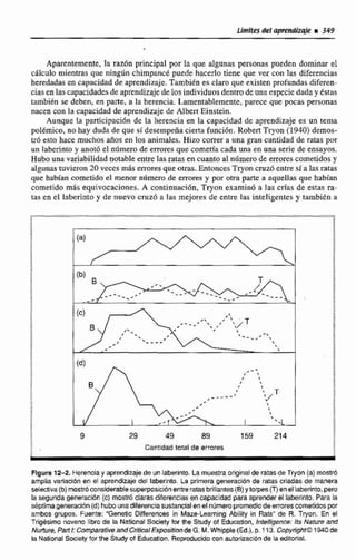 Aparentemente, la razh principal por ia que algunas personas pueden dominar eI
cálculo mientras que ningiin chimpancb puede hacerlo tiene que ver con las diferencias
heredadas en capacidad de aprendizaje. TambiCn es clan, que existen profundas diferen-
cia?en lascapacidadesde aprendizaje delos individuos dentrodeuna especie dítday tstns
tambidn se deben, en parte, a la herencia. Lamentablemente, parece que pocas personas
nacen con la capacidad de aprendizajede Albert EinsPein.
Aunque la participacidn de la herencia en la capacidad de aprendizaje es un tema
poIémíco, nohay duda de que si desempeñacierta funci6n. Robert Tryon (1940) dernos-
trO esto hace muchos años cn las animales. Hizo correr a una gran cantidad de ratas por
un laberinto y anotó el nrírnero de emres que cometía cada una en una serie de ensayos.
Hubo unavariabilidadnotable entre las razas en cuanto al ndmerode errorescometidos y
algunas tuvieron 20 veces más erroresque otras.Enionces Tryon cruzóentre sí a las ratas
que habían cometido el menor n b m de errores y por otra parte a aquellas que habfan
cometido más equivocaciones,A continuación, Tryon examinó a las crias de estas ra-
tas en el laberinto y de nuevo cruzó a las mejores de entre las inteligentes y también a
29 49 89 159 214
Eantldad total da enores
Flgura12-2. Hereway aprendizajede un laberinto. Lamuestraoriginal de m sde Tryon (a]mostró
amplia variaclbn en el aprendizaje del laberinto. La primera generacldn de ratas criadas de manera
selectiva@) mostr6considerablecuperposicibnentreratasbriflantes(B)ytorpes (T)enellaberinto,pero
la segunda generacidn (c) mostrbclarasdiferenciasen capacidad paraaprender el laberinto. Para la
séptimageneración(d) hubo unadiferenciasustancialenel númeropromedíode errorescometidospor
ambos grupos. Fuente: "Genetic Difíeremes in Maze-LearningAbility in Rats" de R. Tryon. En el
f rigesirno noveno libro de la National Socieiy fm the Siudy of Ebucation, Intelligence,Itc Nature a d
Nurture, ParlE: ComparativeandCritica1ExpositíondeG.M,Whipple [Ed.),p. 113.CopyngMZ 1
la National Socieiyfor the Study ol Educatton. R s p r o W o con autorizaciénde la eddonal.
 