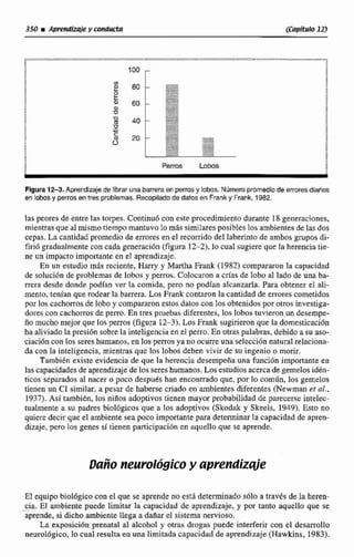 350 iAvmMizd?Y &Mcta (Capítulo 12)
Figura 12-3. Aprendizaje de librarunabarreraen pemis y lobos. Númeropromediode errores diarios
en lobosy perros en tres problemas. Recopiladode datos en Frank y Frank, 1982.
las peores de entre las tnrpes. Contind con este procedimiento durante 18 generaciones,
mientras que al mismo tiempo mantuvo lo m4ssimilaresposibleslosambientesde las dos
cepas. La cantidad promedio de errores en el recorrido del laberinto de ambas p p o s di-
fir16 gradualmente con cada generaci6n (figura 12-2),10 cual sugiere que Ea herencia tie-
ne un impacto importante en el aprendizaje.
En un estudio mAs reciente, Harry y Martha Frdnk (1982) compararon la capacidad
de soluci6n de problemas de lobos y perros. Colocaron a crfasde lobo al lado de una ba-
rrera desde donde podlan ver la comida, pero no podian alcanzarla. Para obtener el ali-
mento, tenian que rodear la barrera. Los Frank contaron la cantidadde errores cometidos
por los cachorrosde lobo y compararon estos dalos con los obtenidos por otrosinvestiga-
dores con cachorros de perro. En tres pruebas diferentes, los lobostuvieronun desempe
ño mucho mejor que los perros (figura 12-3), Los Frank sugirieron que la domesticación
ha aliviado lri presi6n sobre la inteligencia en el perro. En otras palabras, debidoa su aso-
cirtcibn con los sereshumanos, en los perros ya no ocurre una selección natural relaciona-
da con la inteligencia, mientras que los lobos deben vivir de su ingenio o morir.
TambE6n existe evidencia de que la herencia desempeña una función importante en
lascapacidadesde aprendizaje de los sereshumanos. Los estudios acerca de gemdosidén-
ticos separados al nacer o poco después han encontrado que, por lo común,los gemelos
tienen un CI similar, a pesar de haberse criado en ambientes diferentes (Newman eE al.,
1937). Asi también, Ios niños adoptivos tienen mayor probabilidad de parecerse intelec-
tualmente a su padres biológicos que a los adoptivos (Skodak y Skeels, 1949), E.stono
quiere decir que el ambiente sea poco importante para determinar la capacidad de apren-
dizaje, pero los genes sí tienen participación en aquello que se aprende.
El equipobioldgico con el que se aprende no está determinado s610 ri travts de la heren-
cia El ambiente pude limitar la capacidad de aprendizaje, y por tanto aqueIIo que se
aprende, si dicho ambientellega a dañar el cisterna nervioso,
La exposici6n prenatal al alcohol y otras drogas puede interferir con el desarrollo
neurológico, 10cual resultaen una limitada capacidad de aprendizaje(Hawkins. 1983).
 