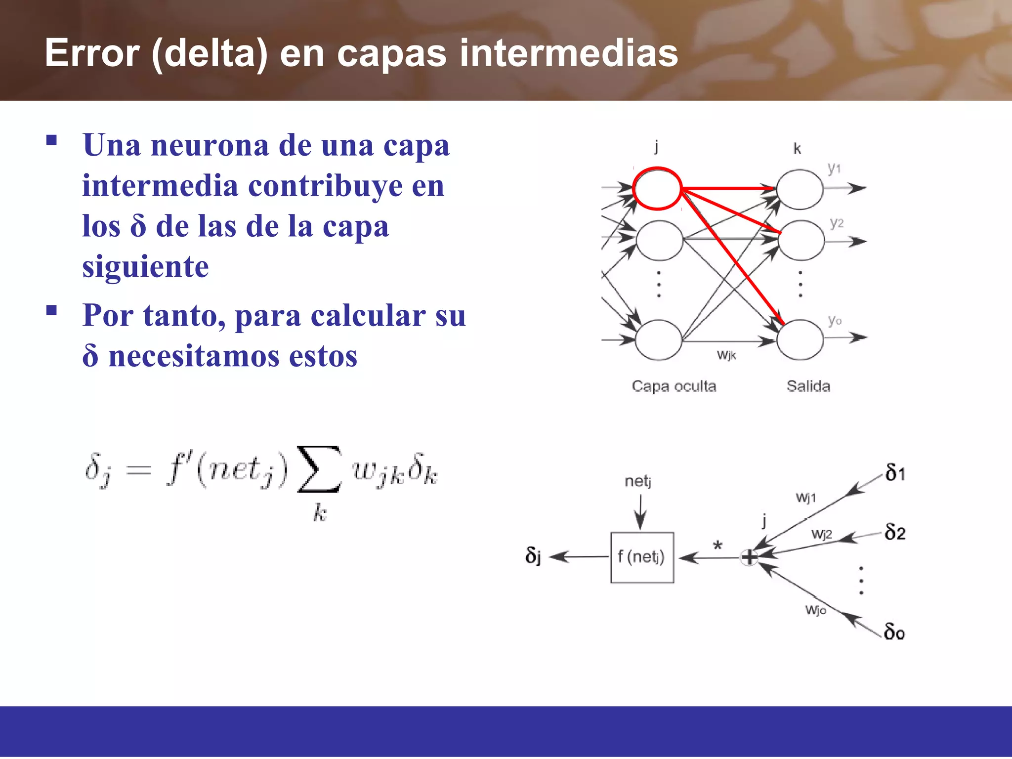 Error (delta) en capas intermedias
 Una neurona de una capa
intermedia contribuye en
los δ de las de la capa
siguiente
 Por tanto, para calcular su
δ necesitamos estos
 