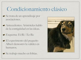 Condicionamiento clásico
Se trata de un aprendizaje por
asociaciones.
Antecedentes: Aristóteles habló
de la contigüidad en las ideas.
Esquema: Ei-Ri / Ec-Rc
El experimento del pequeño
Albert demostró la validez en
humanos.
Se trabajo mucho en fobias.
 