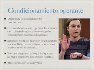 Condicionamiento operante
Aprendizaje de asociaciones por
consecuencias.
En el condicionamiento operante las acciones
son, o bien reforzadas, o bien castigadas
(consecuencias positivas o negativas).
Refuerzos positivos: aparición de un estímulo
deseado; Refuerzos negativos: desaparición
de un estímulo no deseado.
No existe ningún estudio que indique que
sea mejor el refuerzo positivo o el negativo.
https://youtu.be/vkwcMv772Zc
 