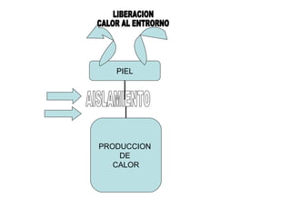 AISLAMIENTO LIBERACION  CALOR AL ENTRORNO PIEL PRODUCCION  DE  CALOR 