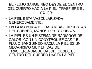 EL FLUJO SANGUINEO DESDE EL CENTRO DEL CUERPO HACIA LA PIEL  TRASFIERE EL CALOR LA PIEL ESTA VASCULARIZADA GENEROSAMENTE. EN LA MAYORIA DE LAS AREAS EXPUESTAS DEL CUERPO, MANOS PIES Y OREJAS. LA PIEL ES UN SISTEMA DE RADIADOR DE CALOR, CON UN CONYTROL EFICAZ Y EL FLUJO SANGUINEO HACIA LA PIEL ES UN MECANISMO MUY EFICAZ DE TRASFERENCIA DE CALOR  DESDE EL CENTRO DEL CUERPO HASTA LA PIEL 
