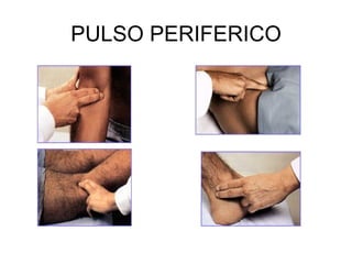 PULSO PERIFERICO 