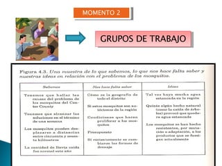 MOMENTO 2 GRUPOS DE TRABAJO 