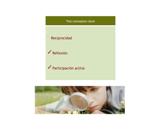 ✓
Reciprocidad
✓Reflexión
✓Participación activa
Tres conceptos clave
 