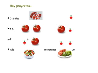 •Grandes y pequeños
•A-S , A-s
a-S , a-s
•Más o menos integrados en el currículum
Hay proyectos…
 