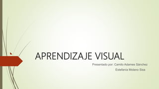APRENDIZAJE VISUAL
Presentado por: Camilo Adames Sánchez
Estefanía Molano Sisa
 