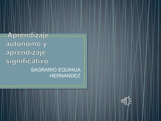 SAGRARIO EQUIHUA
HERNANDEZ
 