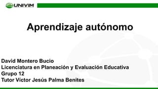 Aprendizaje autónomo
David Montero Bucio
Licenciatura en Planeación y Evaluación Educativa
Grupo 12
Tutor Víctor Jesús Palma Benites
 