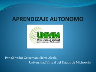 Por: Salvador Getsemani Sierra Alcala
Universidad Virtual del Estado de Michoacán
 