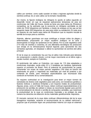 cultivo por sembrar, como suele suceder en lotes o regiones agrícolas donde la
siembra continua de un solo cultivo se ha tornado insostenible.
Así mismo, la fijación biológica de nitrógeno le aporta al cultivo siguiente un
desarrollo inicial, sin que se requieran aplicaciones tempranas de urea (en
condiciones del Valle del Cauca, donde se tiene una cepa nativa de Rhizobium
competitiva, se ha estimado que la economía en nitrógeno asimilable es del
orden de 70-92 kilogramos por hectárea, a través de ensayos en los que se han
requerido hasta 200 kilogramos de urea para inhibir su nodulación). En esta zona
se dispone de una buena cepa nativa de Rhizobium que no requiere inocular la
semilla de la soya para su siembra.
Además, alternar gramíneas con soya contribuye a romper ciclos de plagas y
enfermedades, propiciando un mayor equilibrio biológico en la zona y
disminuyendo el riesgo de epidemias en los cultivos. Por su ciclo vegetativo corto
(110 días de siembra a cosecha), es una alternativa tecnológica de producción
que encaja en la climosecuencia tropical regional, para aprovechar los dos
semestres agrícolas, sin desplazar o alterar la oportunidad de siembra del cultivo
principal.
El de la soya es considerado hoy por hoy el cultivo más indicado para labranza
de conservación o plantío directo, y el de mayor crecimiento en el último siglo a
escala mundial, excepto en Colombia.
El rendimiento del cultivo en Colombia, con soyas de 110 días adaptadas a
condiciones tropicales, oscila entre 2.5 y 3 toneladas por hectárea, ligeramente
superior al promedio de Brasil. Pero el potencial de productividad se puede
incrementar con soyas de mayor periodo vegetativo (140 días) en función del
rendimiento en grano o mejorando los materiales por nivel de proteína o por
contenido de aceite, para mercados especializados que reconozcan esta
condición al momento de su comercialización.
Se requiere continuidad en la investigación para tener un mayor número de
variedades de diverso ciclo vegetativo para cada zona, con resistencia genética a
factores bióticos o abióticos limitantes y con mayores niveles de productividad.
Algunas zonas, como el Valle del Cauca, deben continuar especializándose en la
producción de semillas de calidad e incluso se recomienda legislar para permitir
la comercialización de blends o semilla de compuestos varietales, que maximicen
la productividad de la soya en condiciones tropicales y se protejan de esta
manera los derechos de obtención de los materiales genéticamente mejorados.
El mercado nacional de la soya debe continuar diferenciándose del de la soya
transgénica importada, reclamar el reconocimiento de su calidad nutricional y
propiciar que el productor logre una productividad máxima con soya en sistemas
 