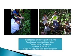 Investigando en el Bosque Santa Ana
Técnicas de recopilación de datos
Cuadrantes y Transectos
2 de marzo de 2012
Etapa IV- Segunda fase de investigación
 