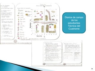 39
Diarios de campo
de los
estudiantes
Técnica del
Cuadrante
 