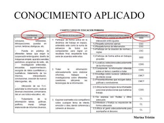 CONOCIMIENTO APLICADO 
Marina Tristán 
 