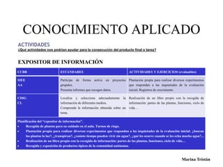 CONOCIMIENTO APLICADO 
ACTIVIDADES 
¿Qué actividades nos podrían ayudar para la consecución del producto final o tarea? 
EXPOSITOR DE INFORMACIÓN 
CCBB ESTÁNDARES ACTIVIDADES Y EJERCICIOS (evaluables) 
Marina Tristán 
SIEE 
AA 
Participa de forma activa en proyectos 
grupales. 
Presenta informes que recogen datos. 
Plantación propia para realizar diversos experimentos 
que respondan a las inquietudes de la evaluación 
inicial. Registros de crecimiento. 
CDIG 
CL 
Localiza y selecciona adecuadamente la 
información de diferentes medios. 
Comprende la información obtenida sobre un 
tema. 
Realización de un libro propio con la recogida de 
información: partes de las plantas, funciones, ciclo de 
vida… 
Planificación del “expositor de información”. 
 Recogida de plantas para su cuidado en el aula. Turnos de riego. 
 Plantación propia para realizar diversos experimentos que respondan a las inquietudes de la evaluación inicial: ¿buscan 
las plantas la luz?, ¿transpiran?, ¿cuánto tiempo pueden vivir sin agua?, ¿qué les ocurre cuando se les echa mucha agua?... 
 Realización de un libro propio con la recogida de información: partes de las plantas, funciones, ciclo de vida… 
 Recogida y exposición de productos típicos de la comunidad autónoma. 
 