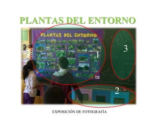 PLANTAS DEL ENTORNO 
EXPOSICIÓN DE FOTOGRAFÍA 
2 
1 
3 
 
