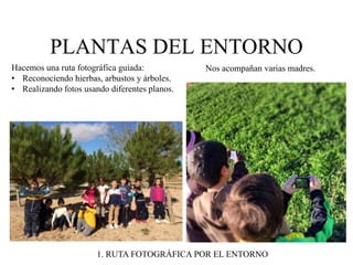 PLANTAS DEL ENTORNO 
Hacemos una ruta fotográfica guiada: 
• Reconociendo hierbas, arbustos y árboles. 
• Realizando fotos usando diferentes planos. 
Nos acompañan varias madres. 
1. RUTA FOTOGRÁFICA POR EL ENTORNO 
 