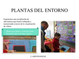 PLANTAS DEL ENTORNO 
Exponemos una recopilación de 
adivinanzas que hemos trabajado y 
memorizado a través de la visualización 
de vídeos. 
Blanca por dentro, verde por fuera. 
Si quieres que te lo diga, espera. 
2. ADIVINANZAS 
 