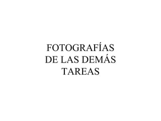 FOTOGRAFÍAS 
DE LAS DEMÁS 
TAREAS 
 