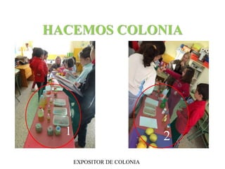 HACEMOS COLONIA 
3 
1 2 
EXPOSITOR DE COLONIA 
 
