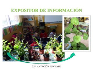 EXPOSITOR DE INFORMACIÓN 
2. PLANTACIÓN EN CLASE 
 